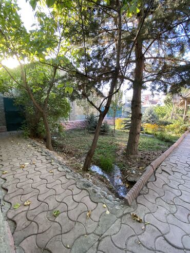 Продажа участков: 17 соток, Для бизнеса, Красная книга, Тех паспорт, Договор купли-продажи — 7