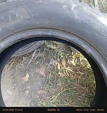 м макси: Шины 205 / 60 / R 15, Лето, Новый, 1 шт, Легковые, Maxxis — 1