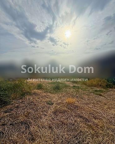 3 соток