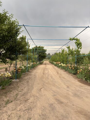 Продажа участков: 230 соток — 3