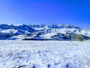 Torpaq sahələrinin satışı: 130 sot, Mülkiyyətçi, Kupça (Çıxarış)