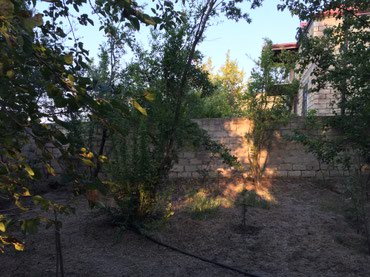 Həyət evləri və villaların satışı: 6 otaqlı, 165 kv. m, Orta təmir — 10