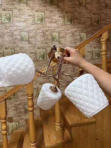 evkalipt ağacı haqqinda: Çılçıraq, 3 lampa, Metal — 3
