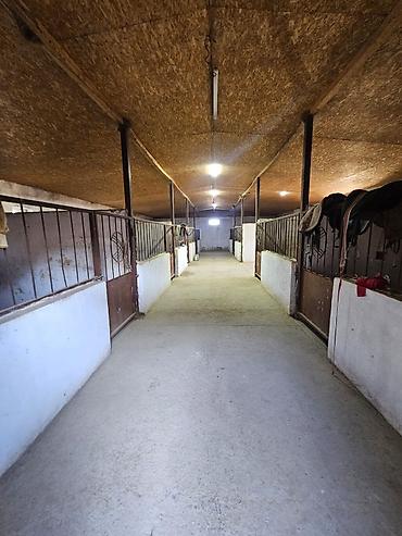 Продажа коттеджей и домов: 🔥🔥🔥Продается современный кошар с домом в селе Чокморов — 13