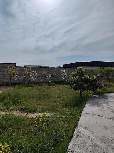 şüvəlan: 12 sot, Tikinti, Mülkiyyətçi, Kupça (Çıxarış) — 2