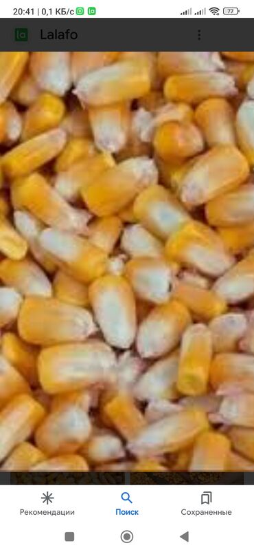 гранулятор корм: Продаю кукурузу естественная сушка сухой в отличном состоянии на