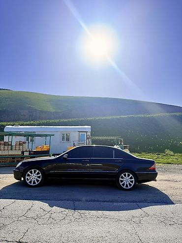 mersedes e class: Mercedes-Benz S-Class: 2000 г., 5 л, Автомат, Бензин, Седан — 1