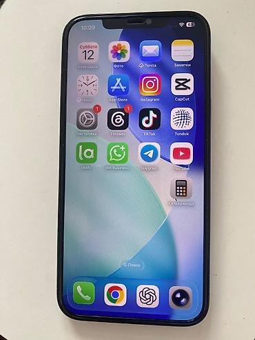 IPhone 12 Pro Max, Б/у, 512 ГБ, Защитное стекло, Чехол, Кабель, 79 %