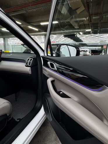 Geely: Geely Atlas Pro: 2024 г., 1.5 л, Робот, Бензин, Кроссовер — 5