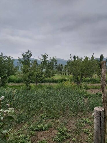 Продажа домов: Дом, 1111111 м², 5 комнат, Собственник — 5