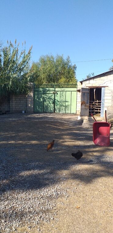 Həyət evləri və villaların satışı: 5 otaqlı, 150 kv. m, Yeni təmirli — 2