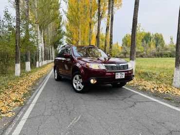 шины 2356516c: Subaru Forester: 2008 г., 2.5 л, Автомат, Бензин, Кроссовер