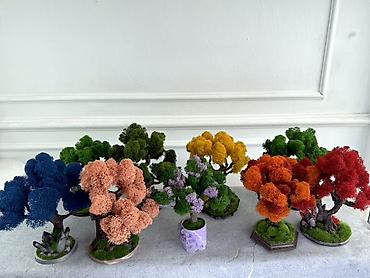 Другой декор и предметы интерьера: Декоративное настольное деревце Бонсай из стабилизированного мха- — 7