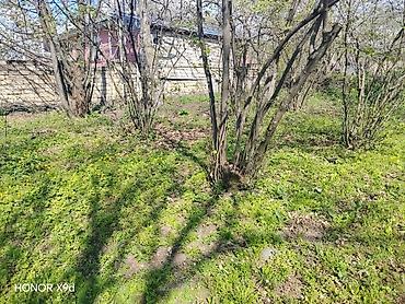 Torpaq sahələrinin satışı: Azərbaycanın ən gözəl guşələrindən biri olan Oğuz rayonu Xaçmaz — 18