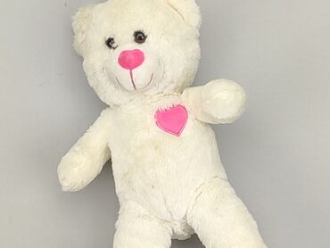 troskliwe misie koszulka: Mascot Teddy bear, condition - Very good