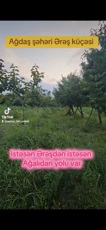бизнес: 13 sot, Biznes üçün, Maklerlər narahat etməsin, Texniki pasport