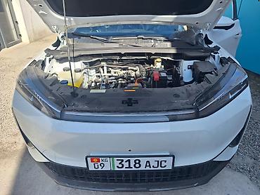 low ll: Dongfeng Aeolus Haoji: 2026 г. — 1
