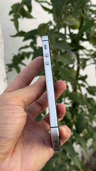 i̇pone 5s: IPhone 5s, Gümüşü — 2
