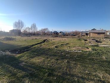 Продажа участков: 5 соток, Красная книга — 6