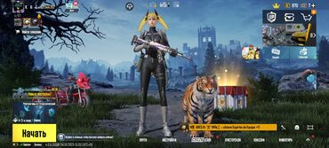 мониторы малайзия: Игровой аккаунт PUBG Mobile Состав и особенности: - Сервер: Европа -