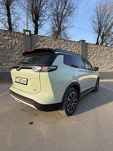 Weltmeister: Weltmeister W6, 2022 г. — 6