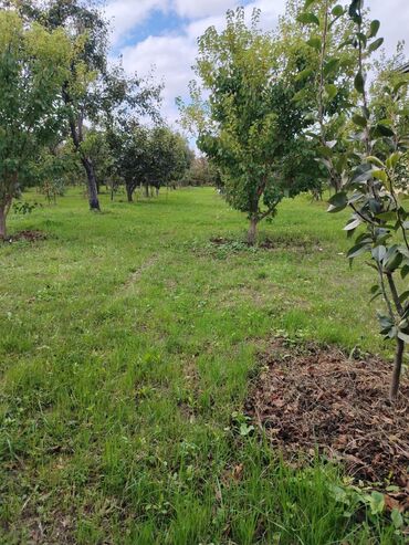 Həyət evləri və villaların satışı: Ev Xaçmaz-Xudat yoluna yaxın məsafədə yerləşir.25 sot həyətyanı sahədə -da lalafo.az — 9 Həyət evləri və villaların satışı: Ev Xaçmaz-Xudat yoluna yaxın məsafədə yerləşir.25 sot həyətyanı sahədə — 9