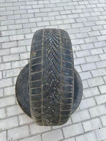 машина 14: Шины 205 / 60 / R 16, Зима, Б/у, Комплект, Легковые, SAVA — 1