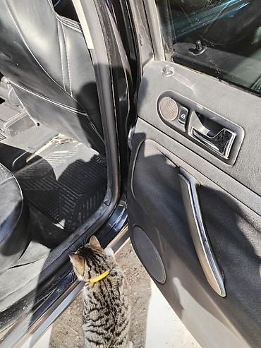 Volkswagen: Volkswagen Passat: 1999 г., 1.8 л, Автомат, Бензин, Универсал — 14