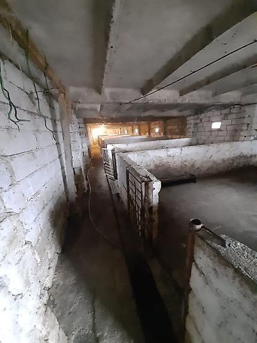 torpaq binə: Mal-qaranın saxlanışı və heyvandarlıq üçün təsərrüfat sahəsi və — 2
