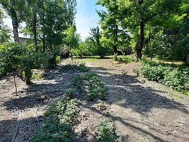 Кыймылсыз мүлк: Продаю дом в г.кара-балта уч.8 соток рядом 1-я школасадик — 5