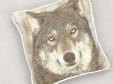 Home & Garden: PL - Pillow 30 x 30, color - Beige, condition - Very good