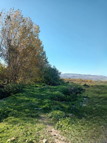 Həyət evləri və villaların satışı: Torpaq bağ sahəsi 42 sot meyvə baği satıram -da lalafo.az — 25 Həyət evləri və villaların satışı: Torpaq bağ sahəsi 42 sot meyvə baği satıram — 25