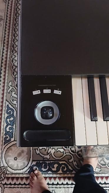 Sintezatorlar: Sintezator, Korg — 4