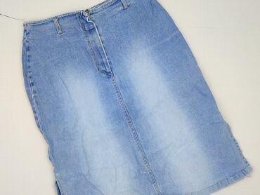 Women`s skirt, L (EU 40)