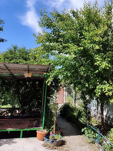 Недвижимость: Срочно!!! Продаю двухэтажный дом( 9 сотых)1-линияэлектричество и — 8