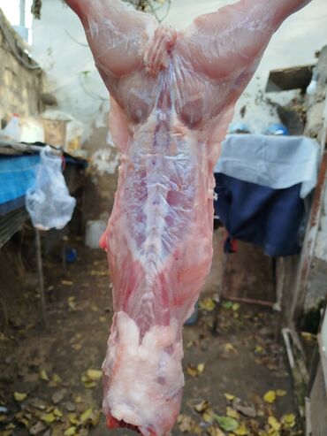 Ət: Salam temiz kaliforniya sortu🐇 dovsha eti isdeyen — 3