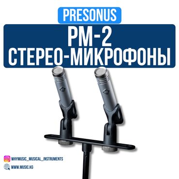 акустические системы wesdar с микрофоном: Конденсаторный микрофон PreSonus PM-2 🎤🔊 Легкий, прочный и