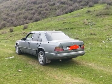 Mercedes-Benz: Mercedes-Benz W124: 1988 г., 3 л, Механика, Дизель, Седан