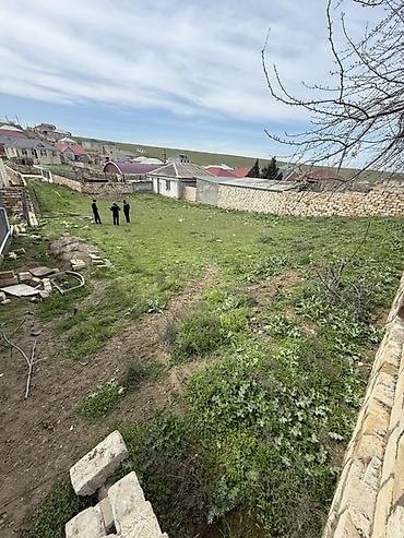 novxani gunluk evlər: 7 sot, Tikinti, Mülkiyyətçi, Kupça (Çıxarış) — 2