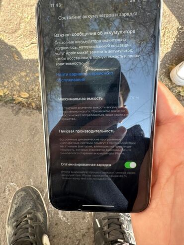 gps трейкер: IPhone 11, Ак, 76 %