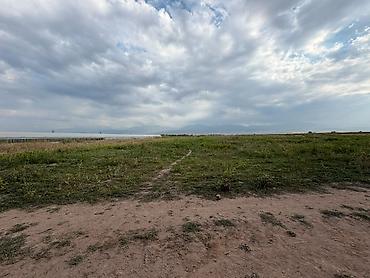 военантоновка: 5 соток — 1