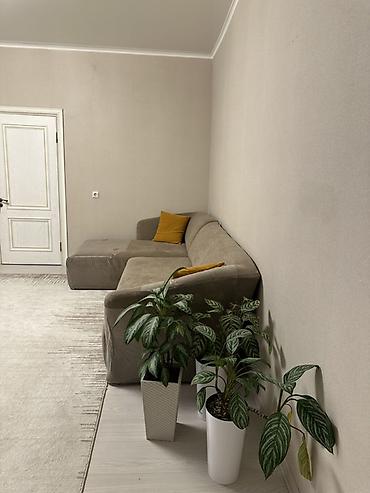 из дубая: 2 комнаты, 54 м², Золотой квадрат Сталинка, 2 этаж, Свежий ремонт — 9