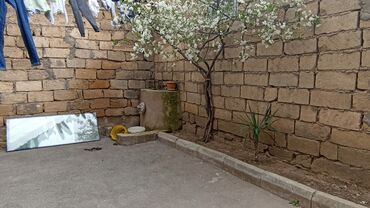 Köhnə tikili: Xırdalan, 3 otaqlı, Köhnə tikili, 75 kv. m -da lalafo.az — 27 Köhnə tikili: Xırdalan, 3 otaqlı, Köhnə tikili, 75 kv. m — 27