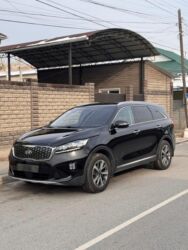 кыймылдаткыч муссо: Kia Sorento: 2019 г., 2 л, Автомат, Дизель, Кроссовер