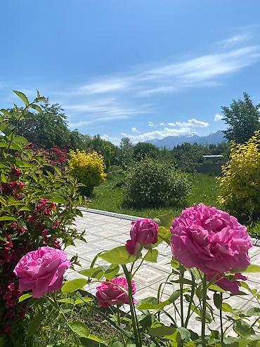 Иссык-Куль 2026: Номер, Аист Тамга — 20