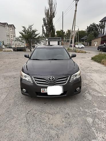 потолок камри: Toyota Camry: 2011 г., 2.5 л, Автомат, Бензин, Седан — 1