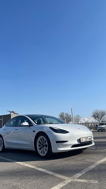 model y: Tesla Model 3: 2021 г., Автомат, Электромобиль, Седан — 2