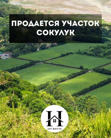 продается орошаемая земля в жайылско районе алтыр будёновка 5 40 гектар цена договорная с довой проблем нету оформление сразу: 🏡 Продаётся участок в Сокулуке 📍 В шаговой доступности от трассы