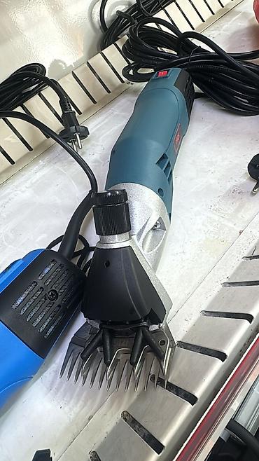 Товары и оборудование для с/х животных: Барана стрижки Большой выбор Бесплатная доставка по городу 🚚 — 8