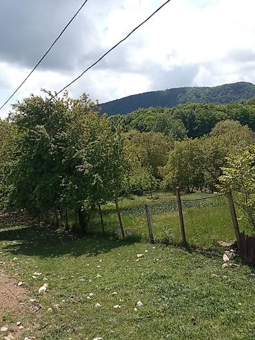 saatlı rayonu: 60 sot, Tikinti, Mülkiyyətçi, Kupça (Çıxarış) — 2